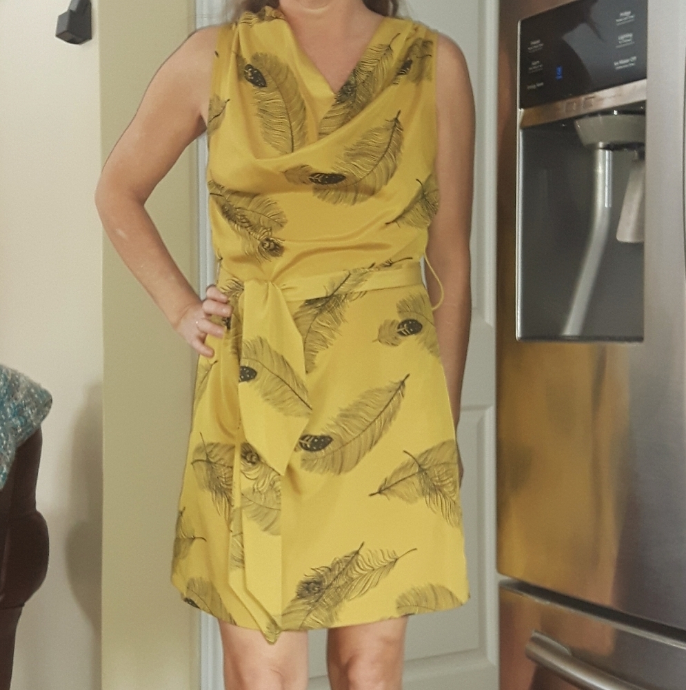 Woman's Fall or Summer Dress